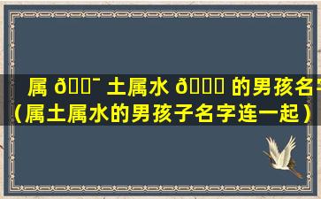 属 🐯 土属水 🍀 的男孩名字（属土属水的男孩子名字连一起）